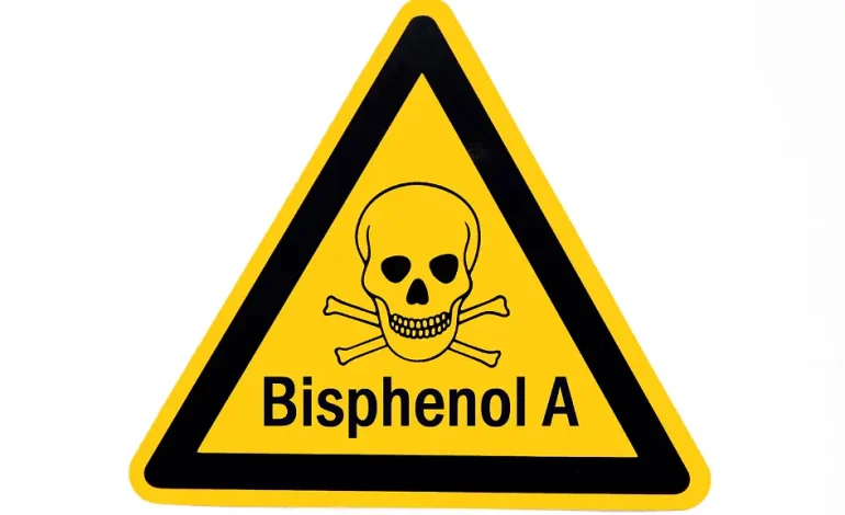 Gefährliche Chemikalien in Dosenlebensmitteln: Öko-Test warnt vor Bisphenol A
