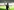 Herausforderungen und Veränderungen in der Frauen-Bundesliga