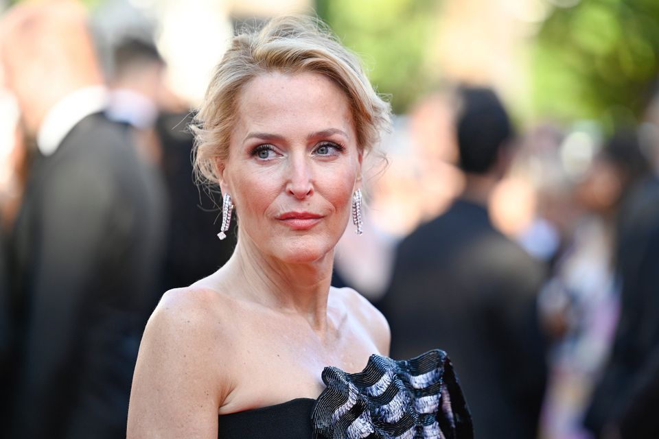 Gillian Anderson spricht über sexuelle Orientierung
