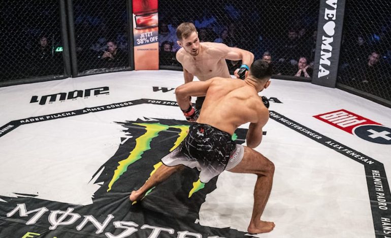 We Love MMA 89: Rückblick auf das Käfig-Spektakel