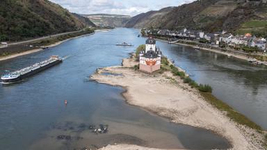 Kritische Niedrigwasserlage im Rhein: Wirtschaftliche Auswirkungen und Lösungsansätze
