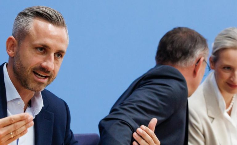 Analyse der AfD-Wahlergebnisse in Sachsen-Anhalt