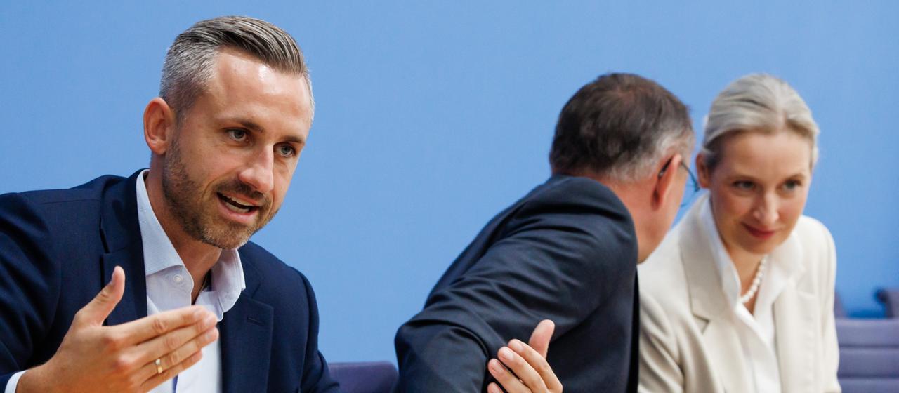 Analyse der AfD-Wahlergebnisse in Sachsen-Anhalt