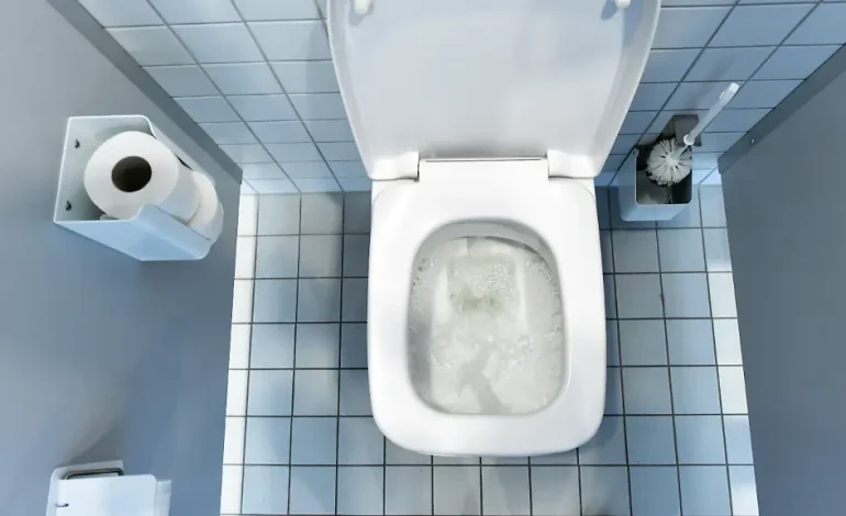 Unsichtbare Wolke über dem WC: Toiletten schleudern beim Spülen Keime bis in Atemhöhe