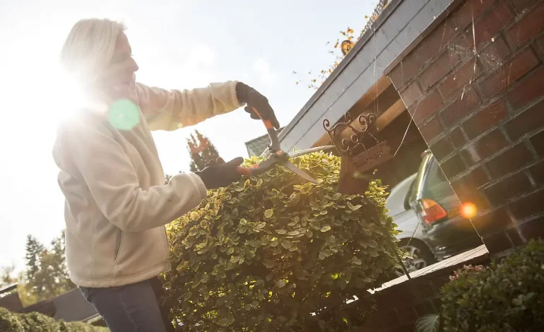 Garten winterfest machen: Tipps zur Herbstpflege