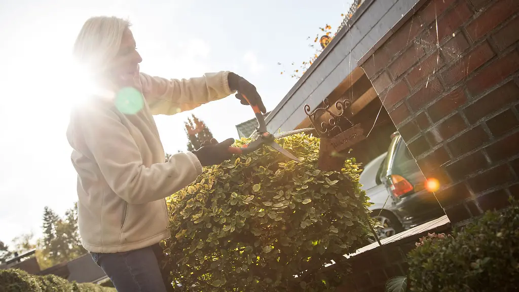 Garten winterfest machen: Tipps zur Herbstpflege