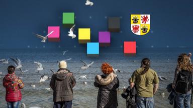 AfD gewinnt Landtagswahl in Mecklenburg-Vorpommern, bleibt aber ohne absolute Mehrheit