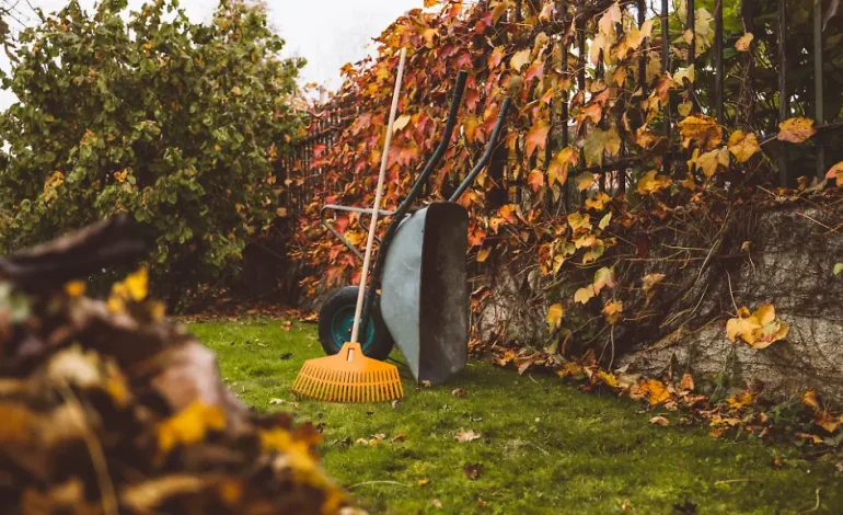 Gartenarbeiten im September: Vorbereitung auf den Herbst
