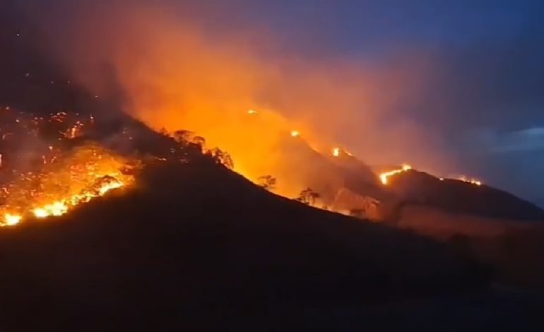 Waldbrände in Kolumbien: Ein Kampf gegen das Feuer