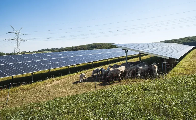 Deutschland erreicht neuen Solarrekord
