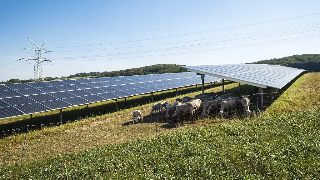 Deutschland erreicht neuen Solarrekord