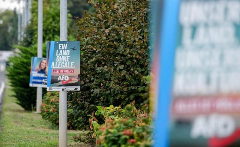 Analyse zur AfD-Migrationspolitik in Sachsen-Anhalt