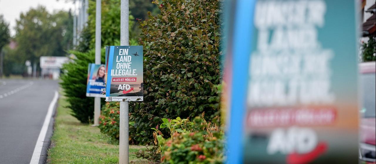Analyse zur AfD-Migrationspolitik in Sachsen-Anhalt