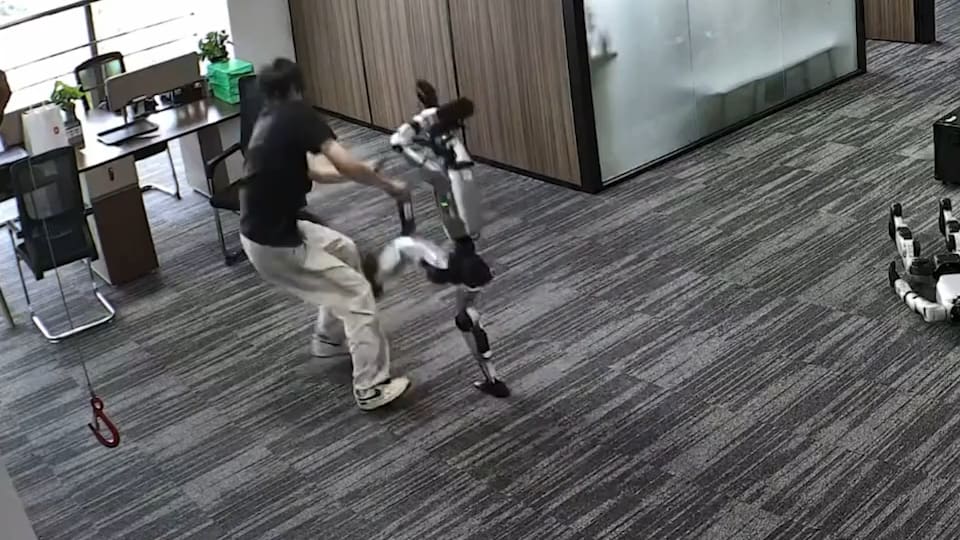 Roboterangriff auf Entwickler löst Diskussion über KI-Risiken aus