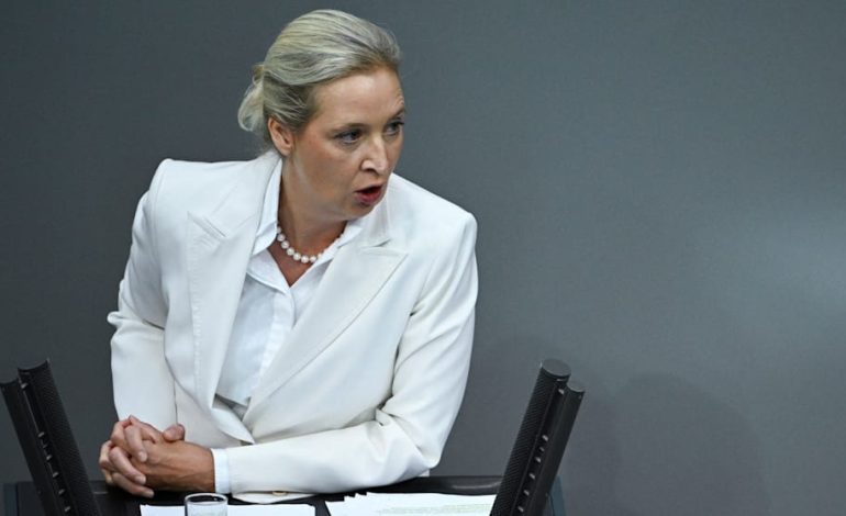 Alice Weidel im Bundestag: Kritik an der Energiewende
