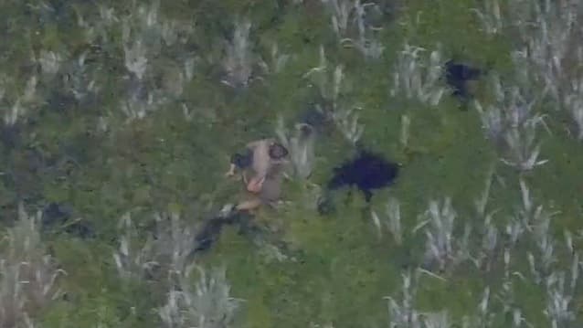 Vater flieht nach Unfall in Alligatoren-Sumpf