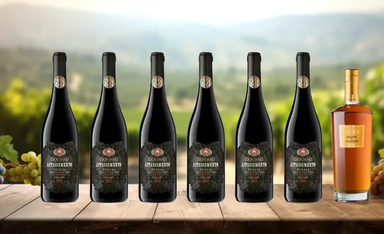 Exklusiver Wein-Deal für ntv.de-Leser