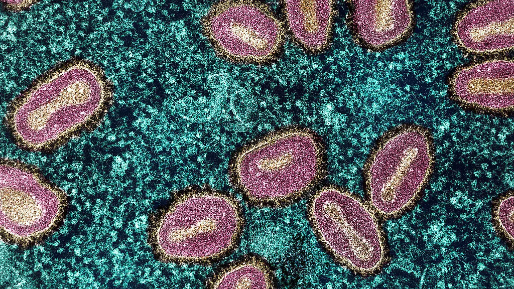 Forscher entdecken: Spermien begünstigen Mpox-Übertragung