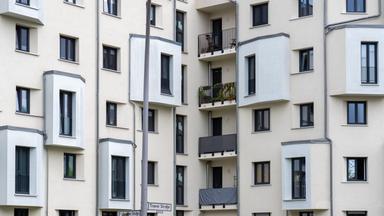 Die Linke und das Vorhaben der Enteignung großer Immobilienfirmen
