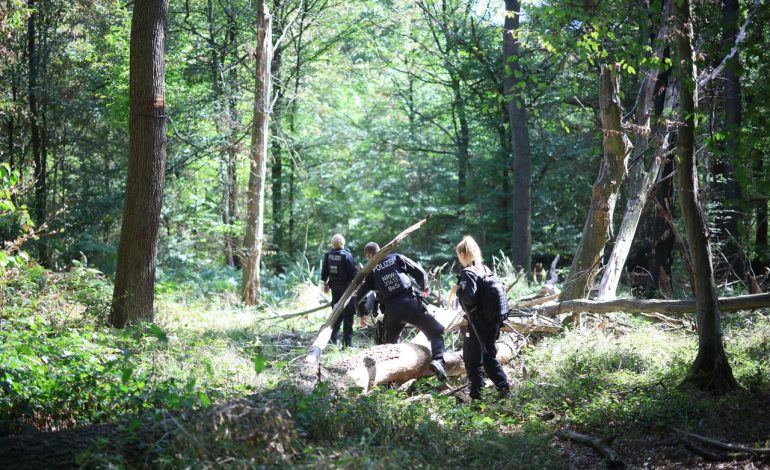Suche nach Tatverdächtigem im Fall von Stromnetz-Sabotage in Sachsen