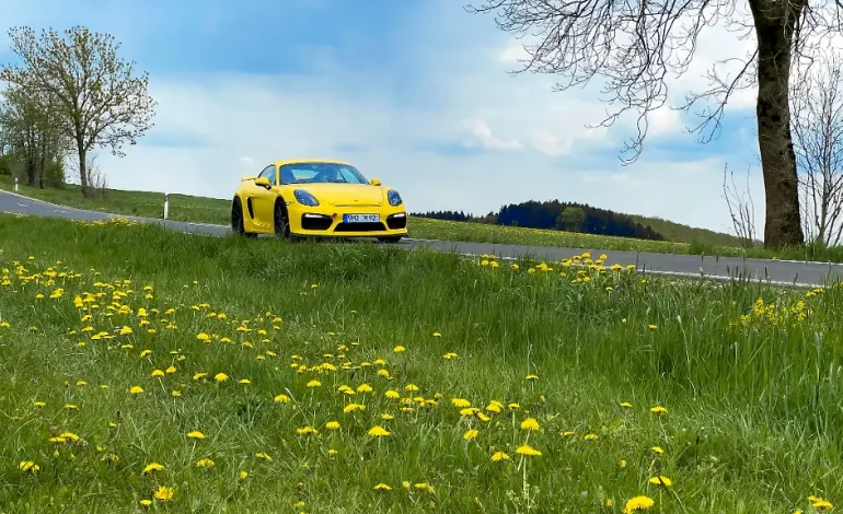 Verkehrssünder fahren Oberklasse