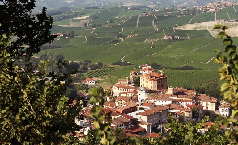 Diebstahl von Tausenden Flaschen Barolo im Piemont