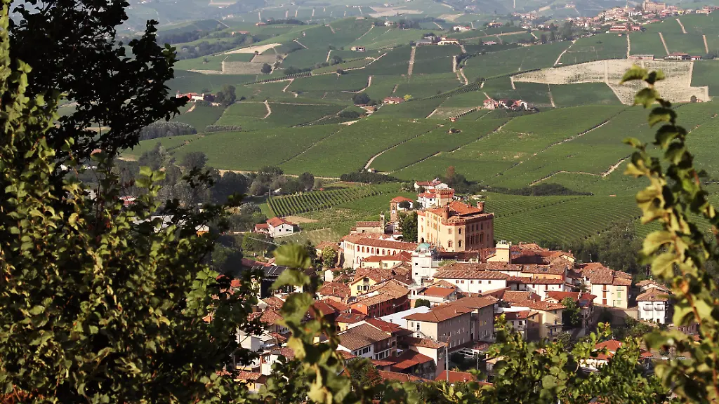Diebstahl von Tausenden Flaschen Barolo im Piemont