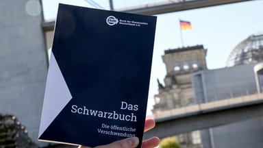 Steuerverschwendung im Schwarzbuch 2025/26