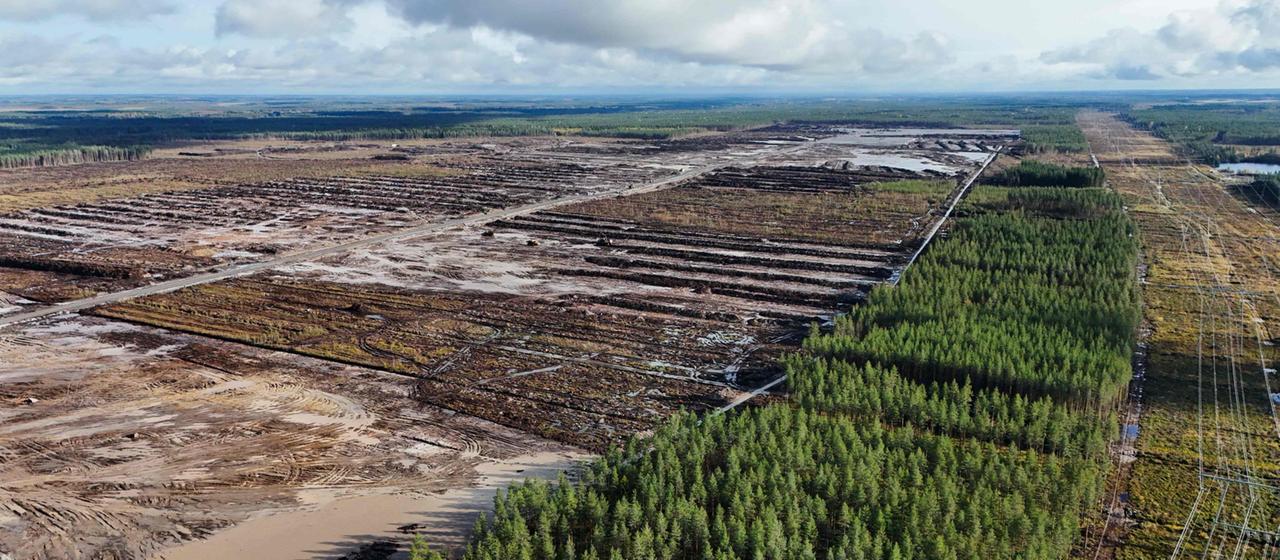Google investiert in Finnland, Rodungen sorgen für Aufsehen