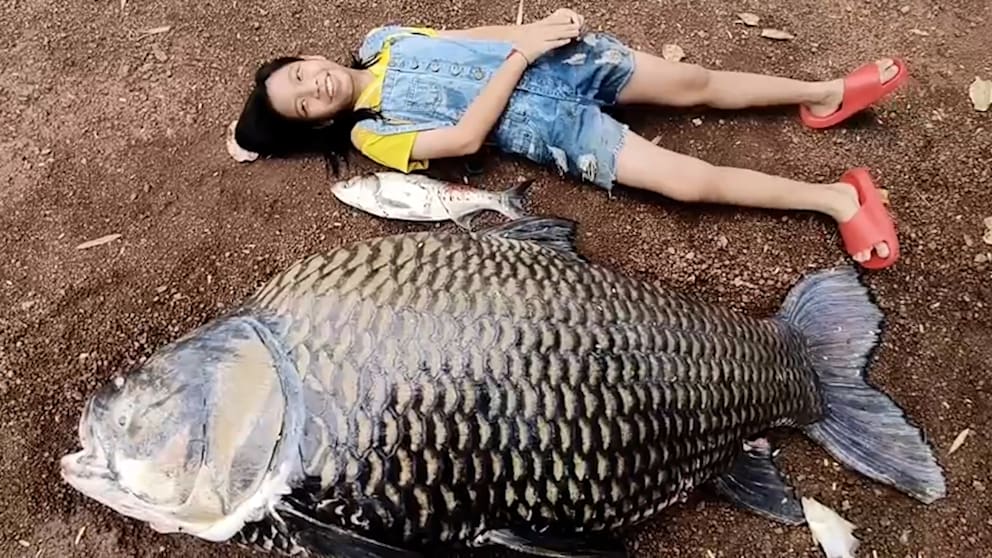 Entdeckung eines riesigen Karpfens in Thailand