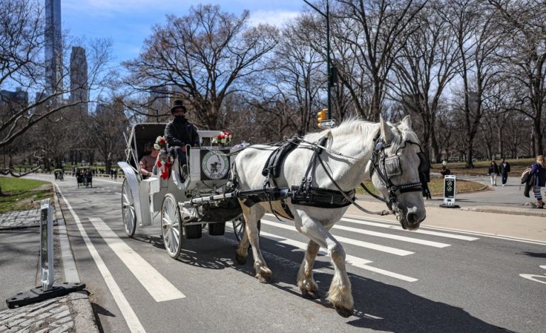 Kutschenverbot im Central Park: New Yorks Tradition vor dem Aus?