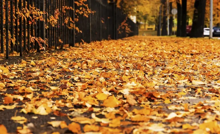 Veränderungen für Verbraucher im Oktober