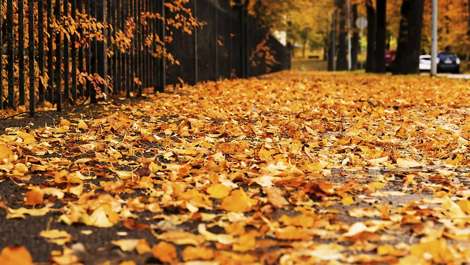 Veränderungen für Verbraucher im Oktober