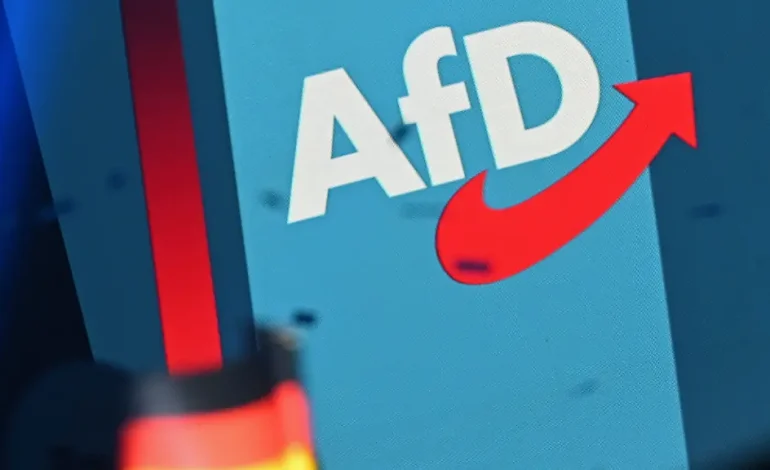 Industrieverband warnt vor AfD-Regierung in Sachsen-Anhalt