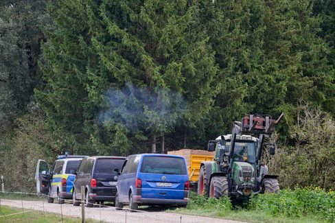 Rätselhafte Sichtung einer Großkatze im Notzinger Moos