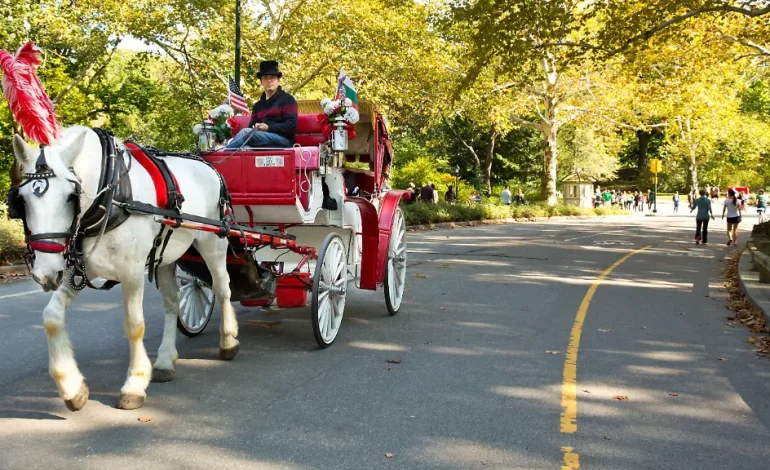 Pferdekutschen im Central Park vor dem Aus