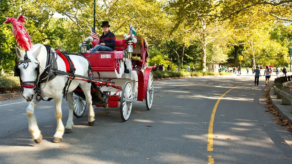 Pferdekutschen im Central Park vor dem Aus