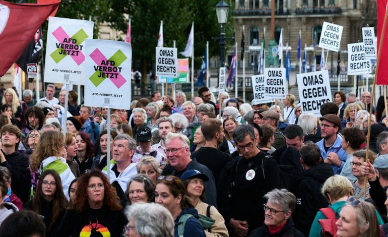 Debatte um ein AfD-Verbotsverfahren gewinnt an Fahrt