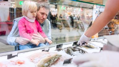 Dosenfisch: Der Einfluss unseres Konsums auf Umwelt und Gesellschaft